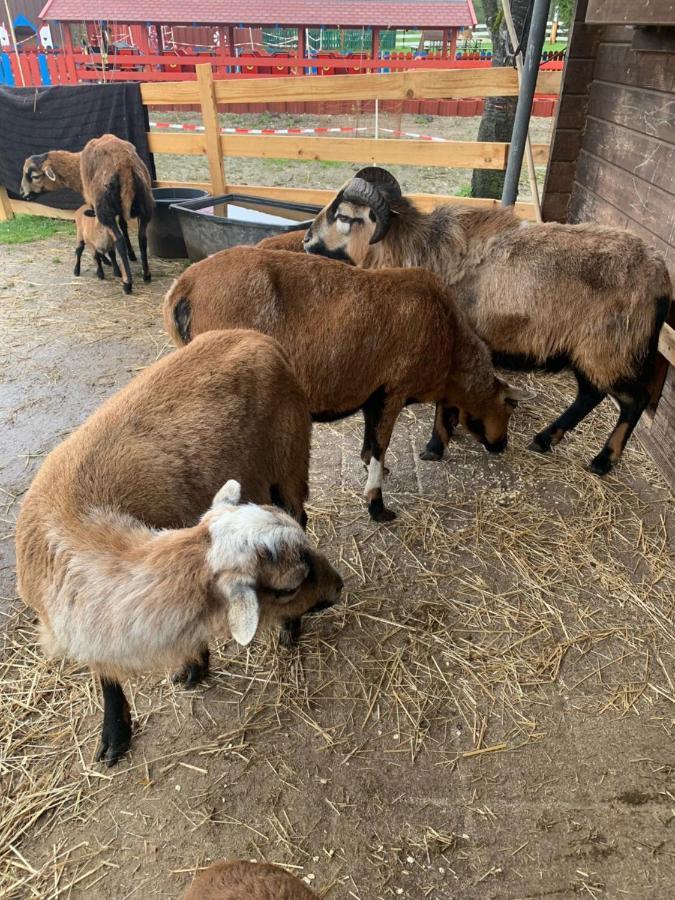 Ferienwohnung Am Ponyhof Altötting Exteriör bild